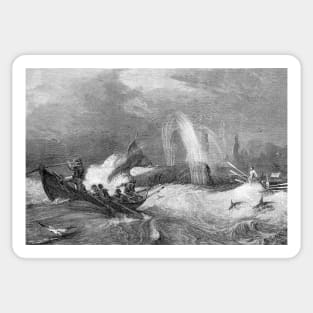 Whalers catching a whale, 19th century (C006/9087) Sticker